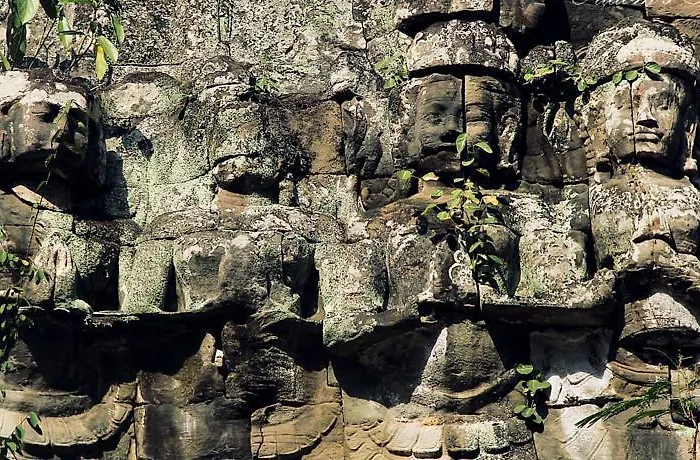Hotel Palm Garden