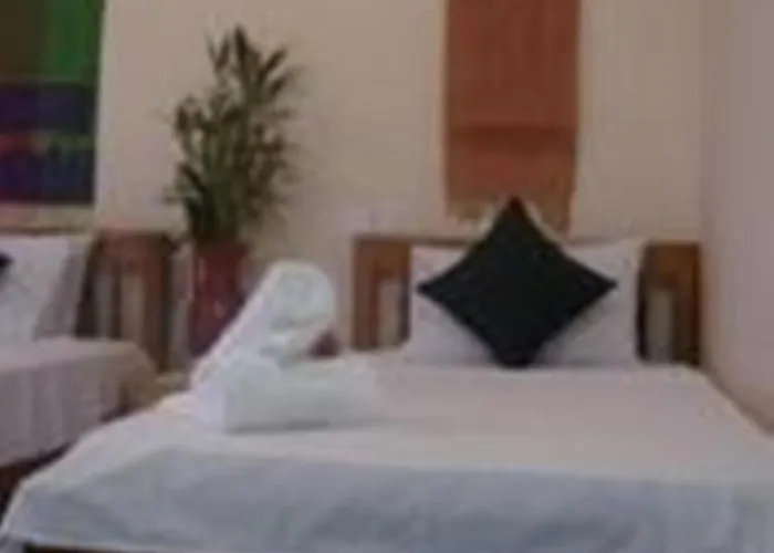 Palm Garden 2*